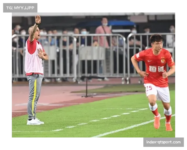 《中超发展史:足球历史学家的深度解读与研究》 《中超发展史:足球历史学家的深度解读与研究》