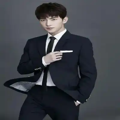 文葵兰